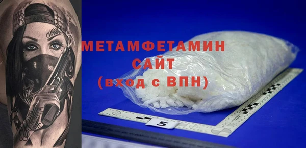 индика Инта