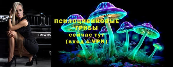 индика Инта