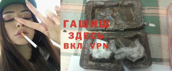 индика Инта