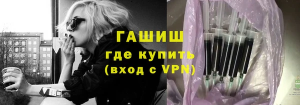 индика Инта