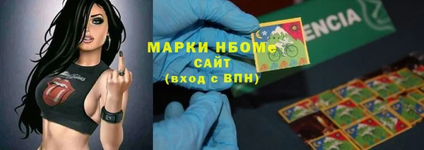 индика Инта