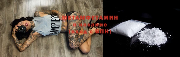 индика Инта