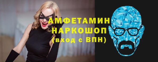 индика Инта