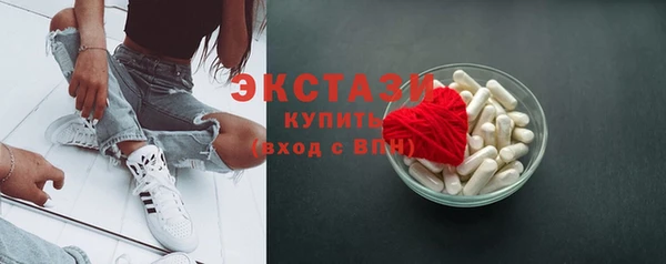 индика Инта