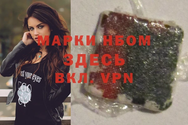 индика Инта