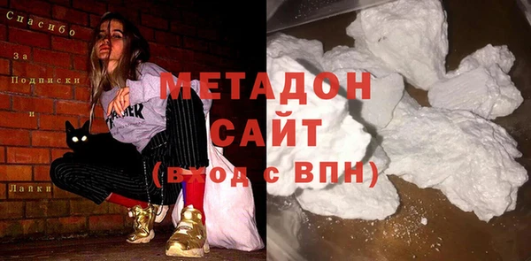 индика Инта