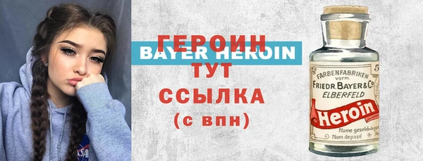 индика Инта