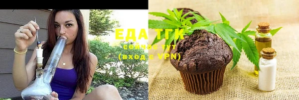 индика Инта