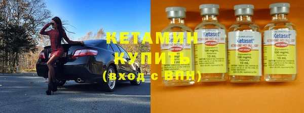 индика Инта