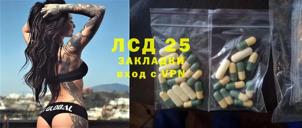 индика Инта