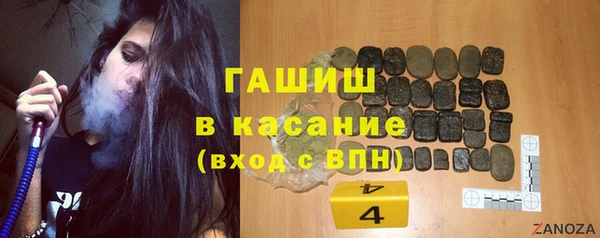 индика Инта