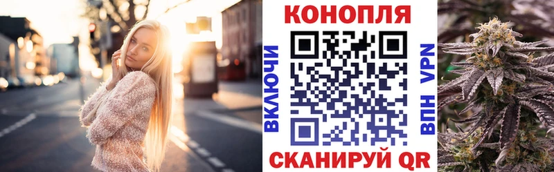 купить наркотик  Лесосибирск  Канабис тримм 